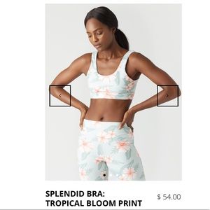 Glyder Splendid Bra